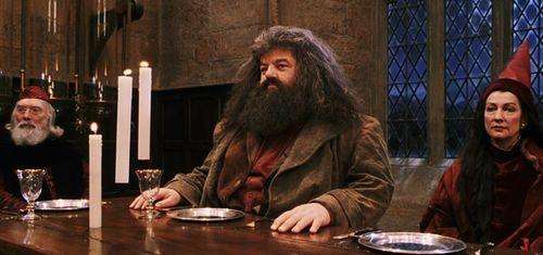 娱乐吃瓜酱霍格沃茨