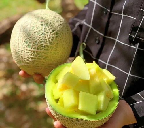 娱乐吃瓜壁纸图片高清,揭秘娱乐圈幕后故事